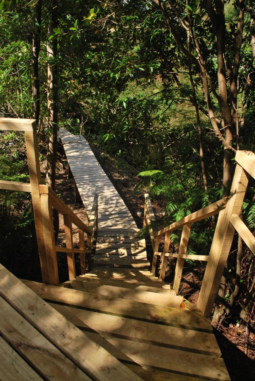 Chucao Bosque Y Cabanas Chaitén エクステリア 写真