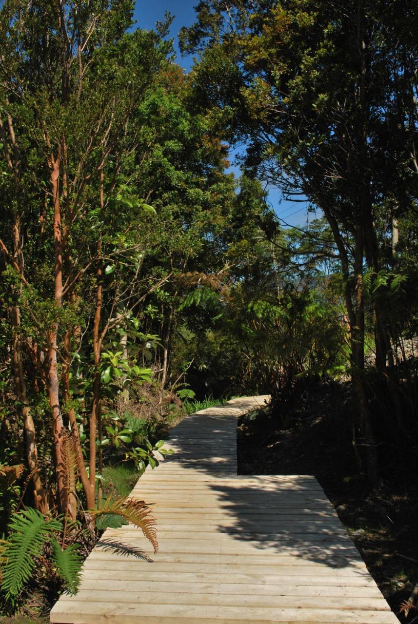 Chucao Bosque Y Cabanas Chaitén エクステリア 写真